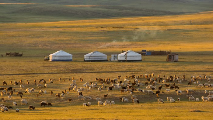 Home on the asian steppes