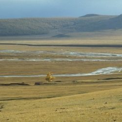 Steppe steppes nomads horses