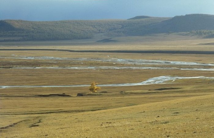 Steppe steppes nomads horses