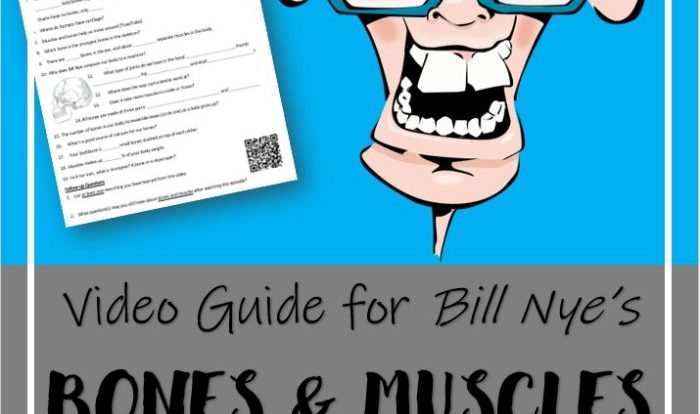 Bill nye muscles and bones worksheet