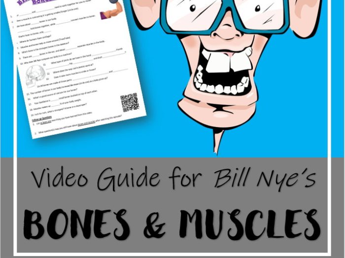 Bill nye muscles and bones worksheet