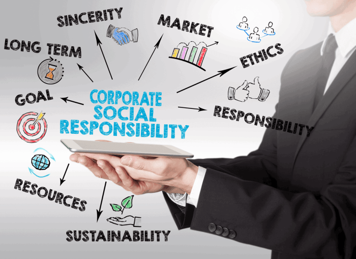 Responsibility social corporate csr india responsibilities activities company reporting companies group trilux leads rates kpmg vs profits slsv soundnlight business