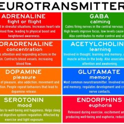 Select all that are true of inhibitory postsynaptic potentials.